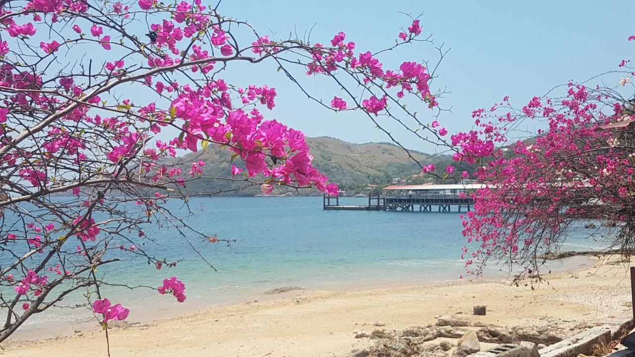 Cerrito Tropical Eco Lodge Taboga Ngoại thất bức ảnh